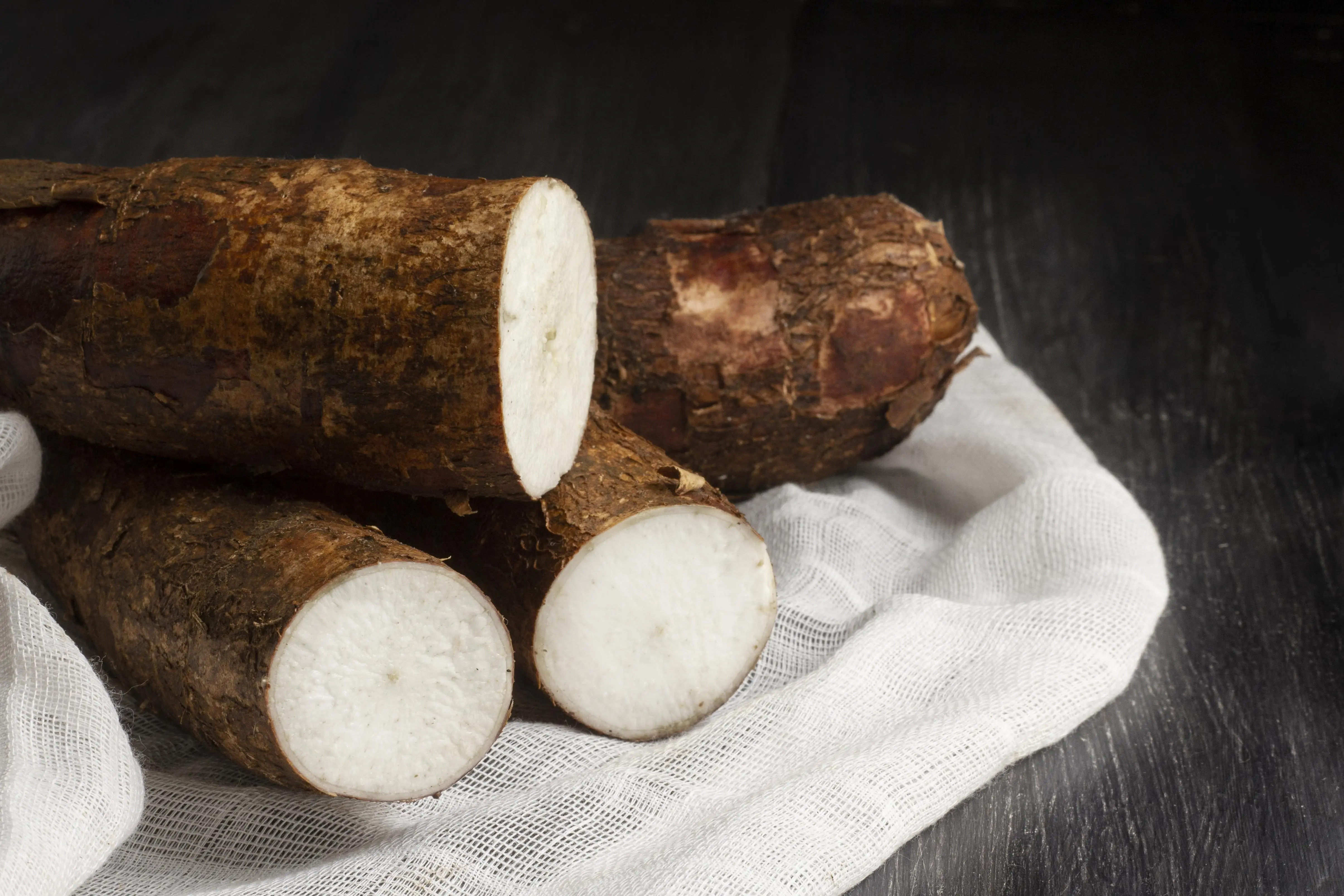 Manioc